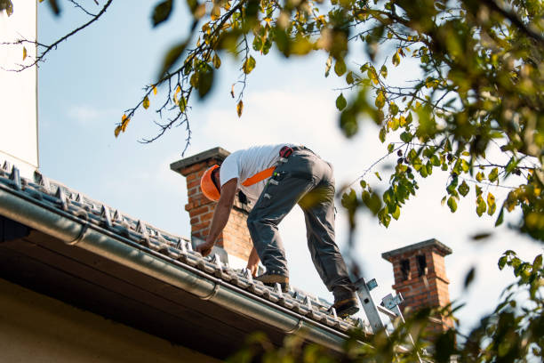 Best Shingle Roofing Installation  in Creve Coeur, MO