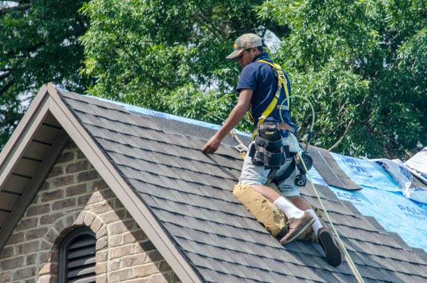 Best Roof Gutter Cleaning  in Creve Coeur, MO